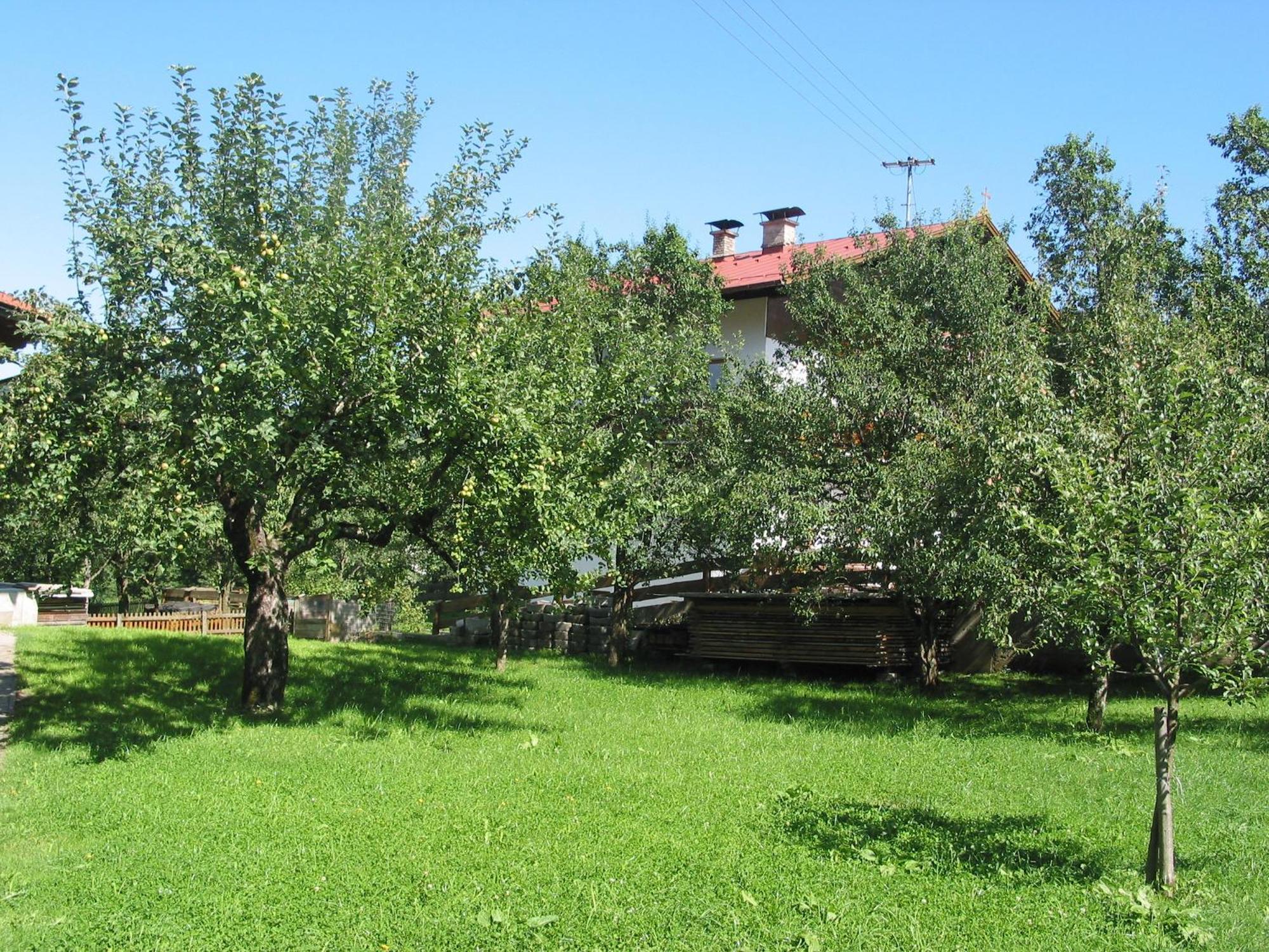 Haus Seiwald *